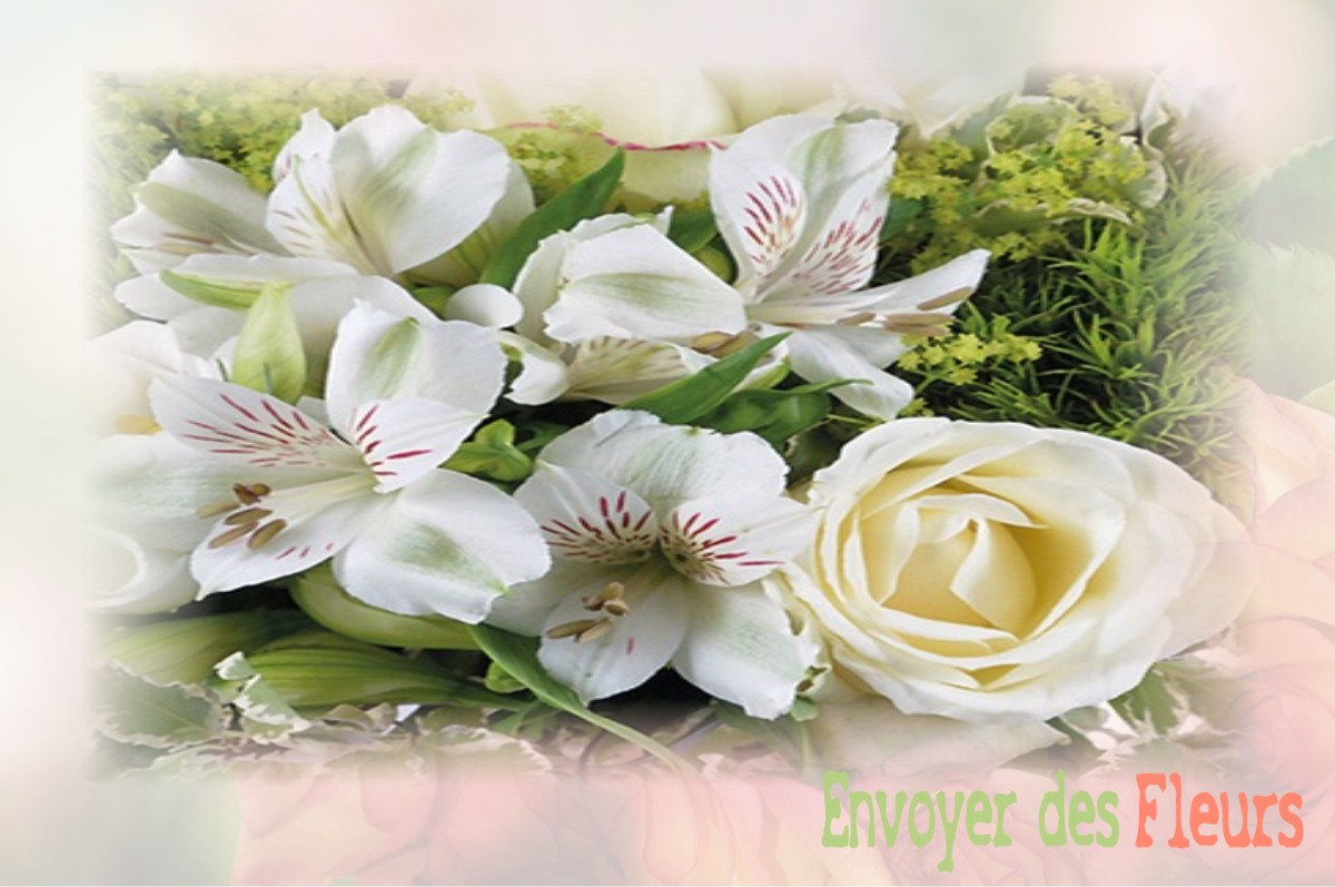 envoyer des fleurs à à VILLERS-SIRE-NICOLE